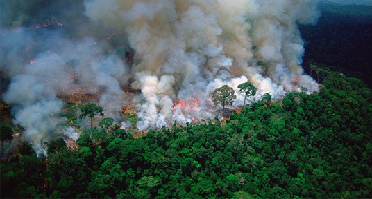 Incendio nella foresta pluviale amazzonica