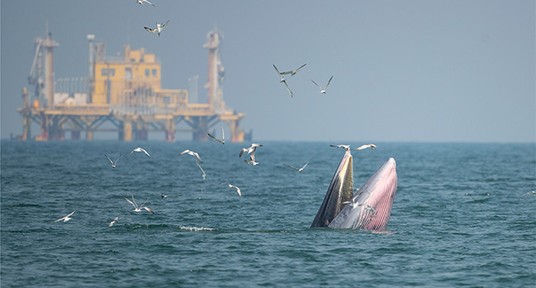 Piattaforma petrolifera in mare aperto